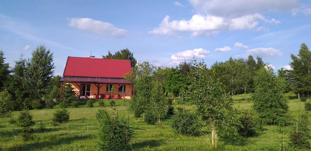 Фермерские дома Dom w Pawłowie Pawłowo-10